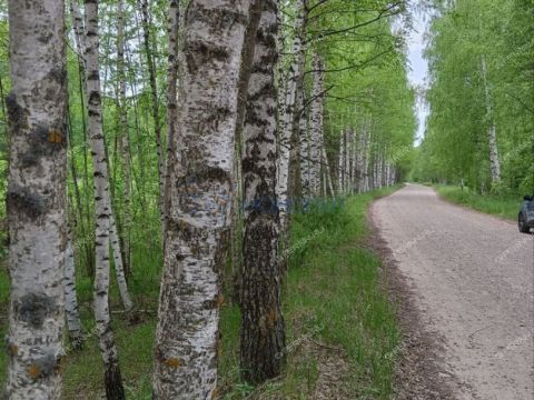derevnya-filino-sokolskiy-gorodskoy-okrug фото