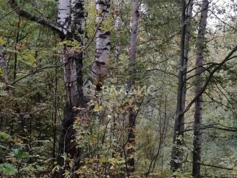 земельный участок 175 соток сельский посёлок Бор