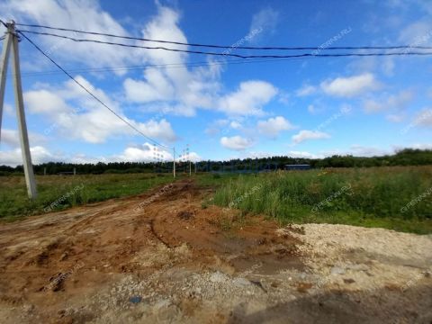 derevnya-prudy-bogorodskiy-municipalnyy-okrug фото