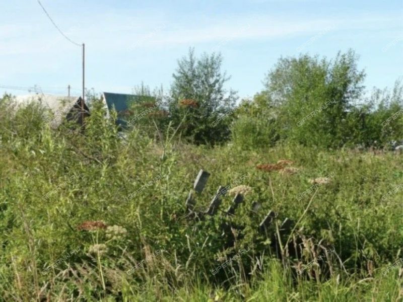 земельный участок 17 соток Новая улица село Поя