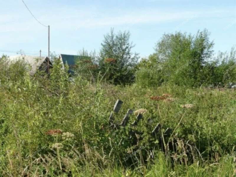 земельный участок 17 соток Новая улица село Поя