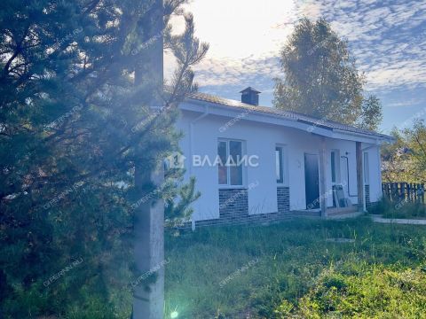 dom-derevnya-borisovka-gorodskoy-okrug-bor фото