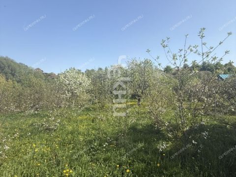 dacha-selo-barmino-lyskovskiy-municipalnyy-okrug фото