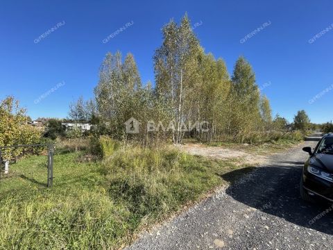 derevnya-taynovo-gorodskoy-okrug-bor фото