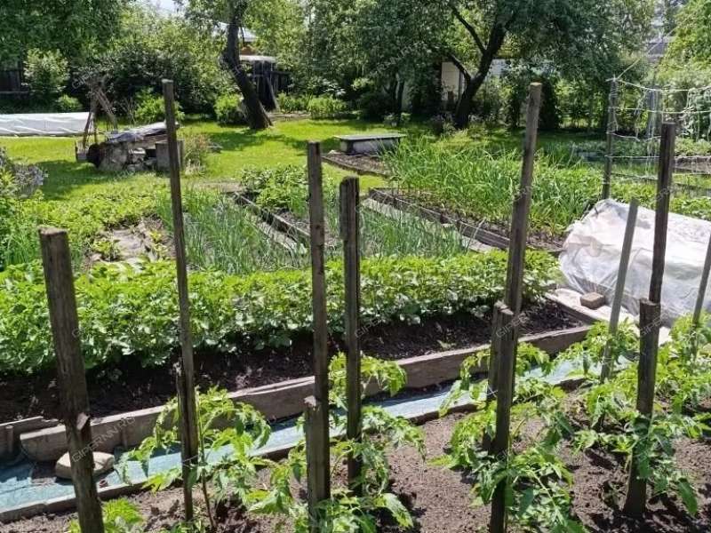 дом на улице Николая Пахомова