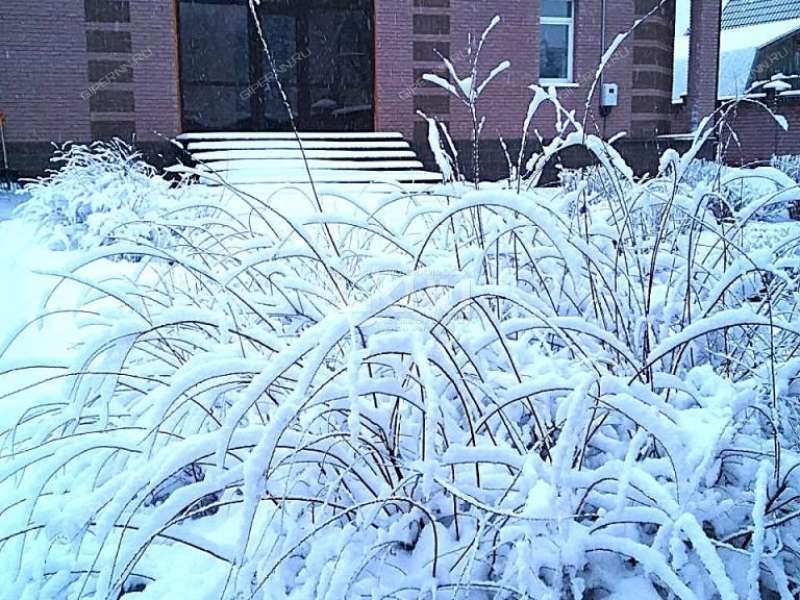 дом на Калухина село Великий Враг