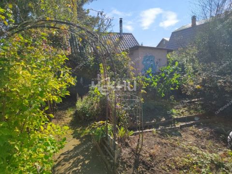 dacha-gorod-balahna-balahninskiy-municipalnyy-okrug фото