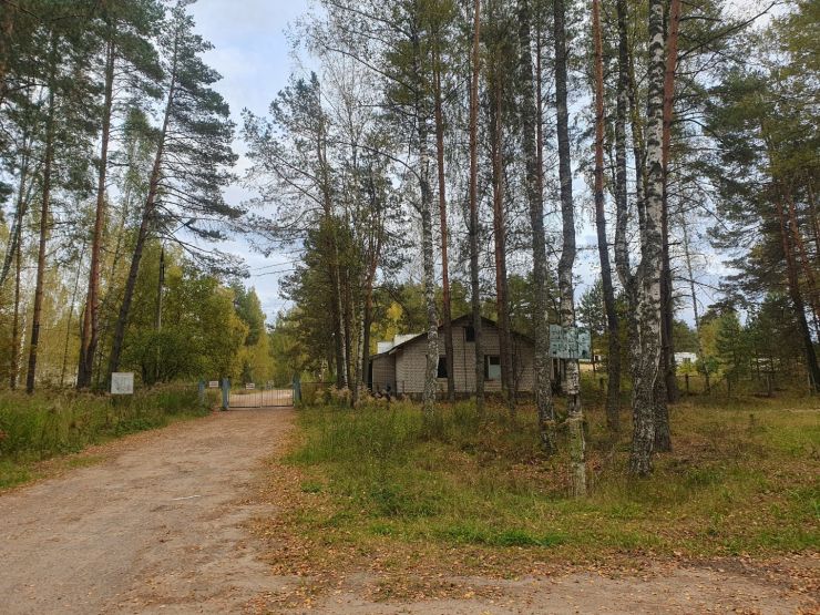 Фото: Ксения Ражева