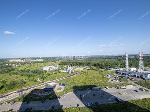 1-komnatnaya-derevnya-ankudinovka-kstovskiy-rayon фото