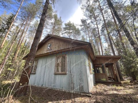 dacha-derevnya-sverchkovo-gorodskoy-okrug-bor фото