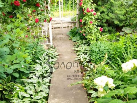 dom-ul-grodnenskaya-d-5 фото