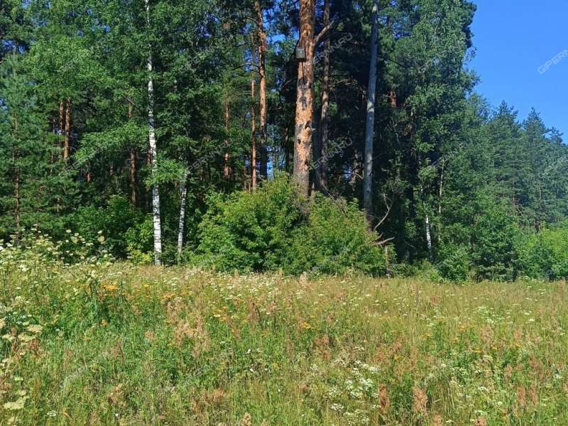 земельный участок под коммерческое использование в Володарском районе Нижегородской области