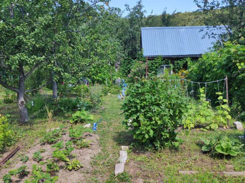 дача в садовом товариществе Дубрава