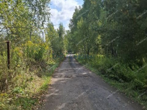 snt-rus-bogorodskiy-municipalnyy-okrug фото