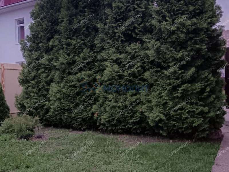 коттедж на Лесной улице деревня Анкудиновка