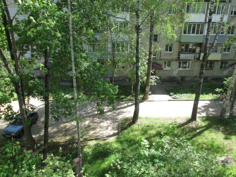 двухкомнатная квартира на улице Козицкого дом 6