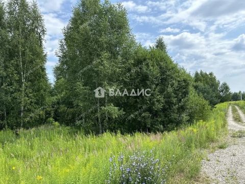 massiv-2-ya-zona-bogorodskiy-municipalnyy-okrug фото