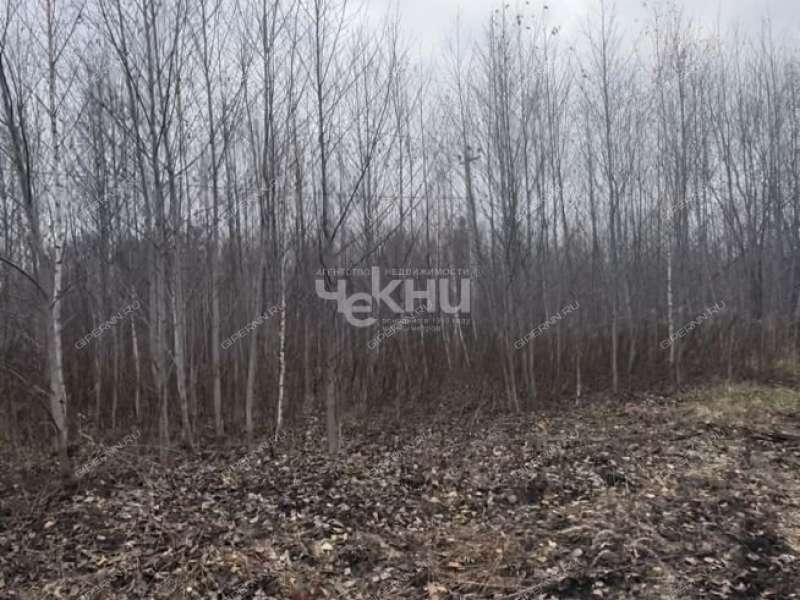 земельный участок 12,9 сотки село Безводное