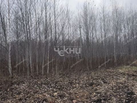 selo-bezvodnoe-kstovskiy-rayon фото