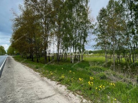 selo-ostankino-gorodskoy-okrug-bor фото