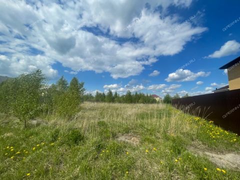 botalovo-4-zh-r-gorodskoy-okrug-bor фото