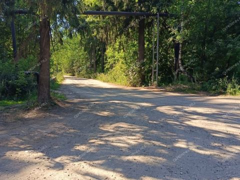 poselok-novosmolinskiy-volodarskiy-rayon фото