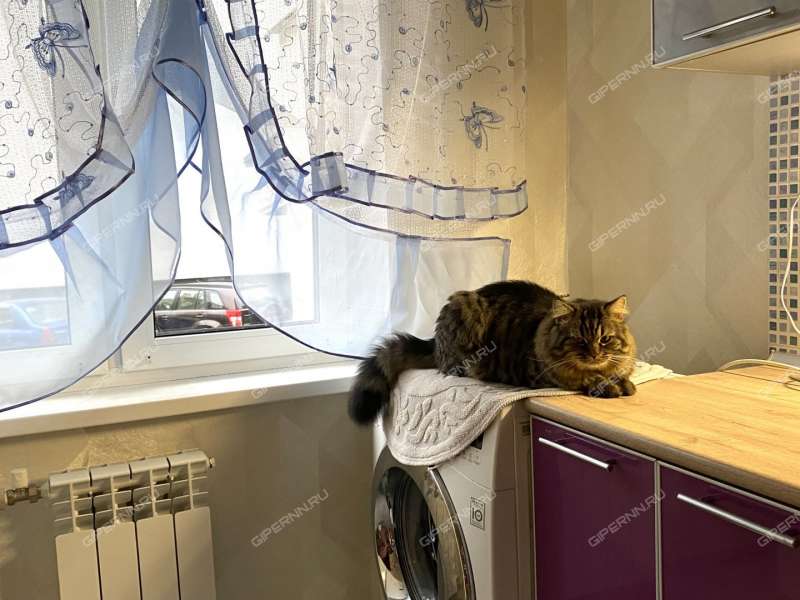 трёхкомнатная квартира на улице Исполкома дом 11