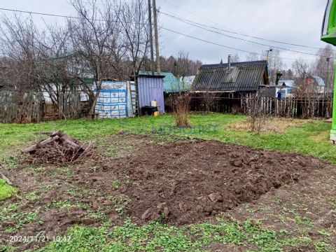 dacha-derevnya-nikitino-shaldezhskiy-selsovet-semenovskiy-gorodskoy-okrug фото