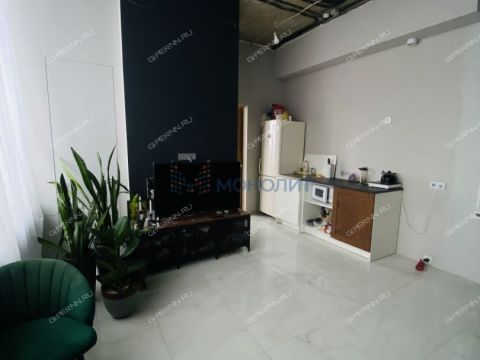 1-komnatnaya-derevnya-afonino-kstovskiy-rayon фото