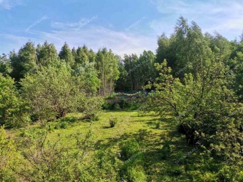 dacha-gorod-bor-gorodskoy-okrug-bor фото
