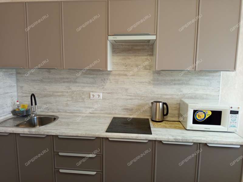 двухкомнатная квартира на улице Академика Чазова дом 1