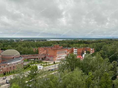 1-komnatnaya-gorod-kstovo-kstovskiy-rayon фото