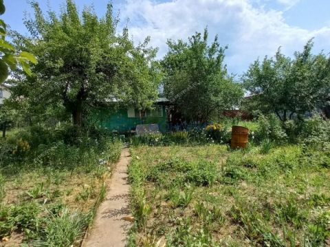 dacha фото