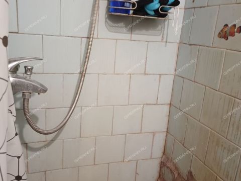 ul-yuliusa-fuchika-d-4 фото