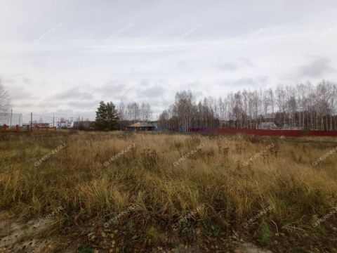 rabochiy-poselok-sosnovskoe-sosnovskiy-rayon фото