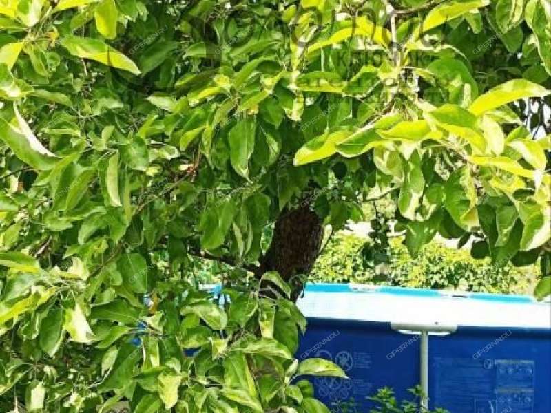 дом на Гродненской улице