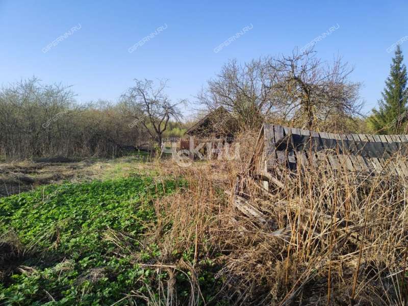 земельный участок 25 соток Центральная улица село Львово