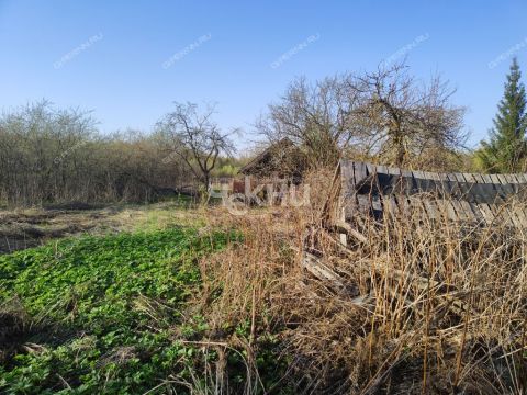selo-lvovo-vorotynskiy-gorodskoy-okrug фото