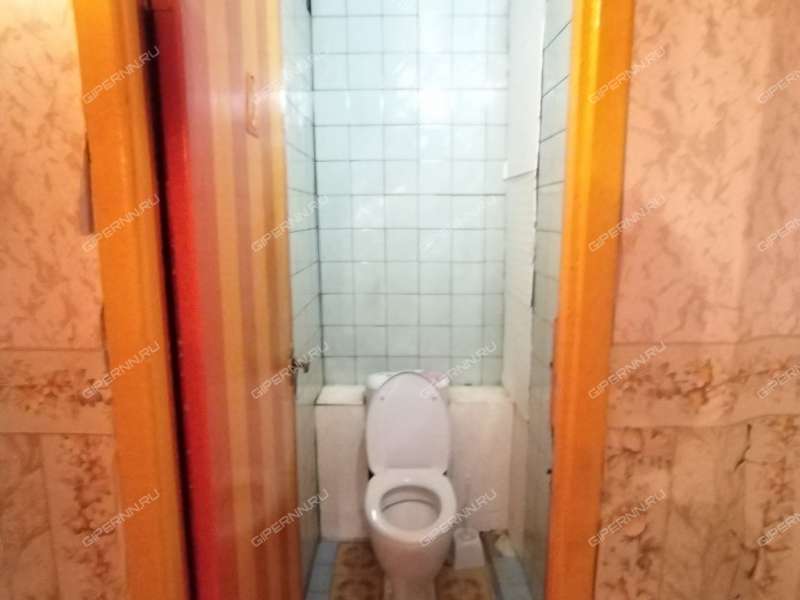 трёхкомнатная квартира на улице Германа Лопатина дом 5