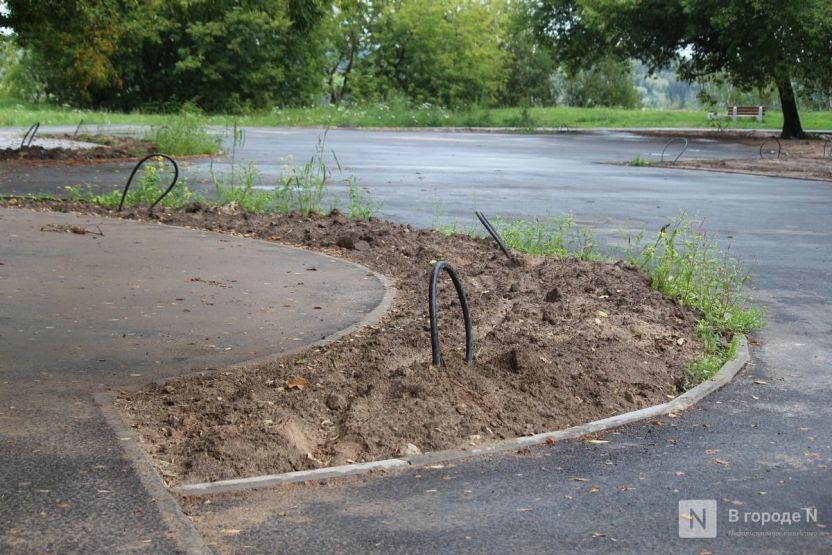 Фото: Надя Кей / vgoroden.ru