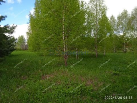 dom-derevnya-nikitkino-gorodskoy-okrug-chkalovsk фото